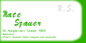 mate szauer business card